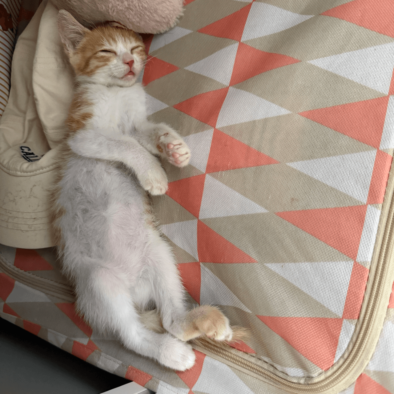 마지