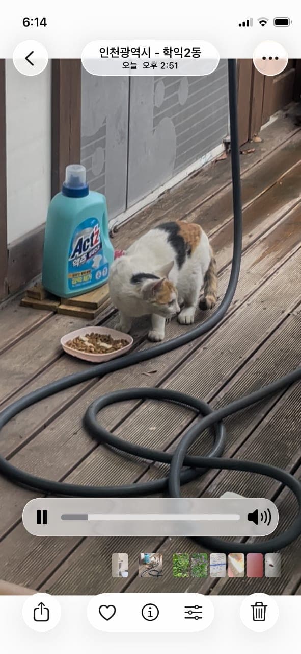 똑순이 입맛까다롭