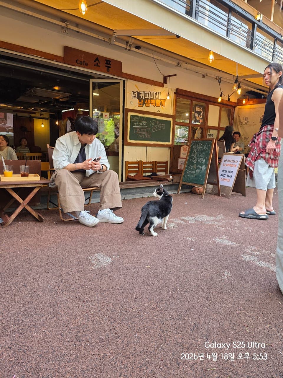 골목이