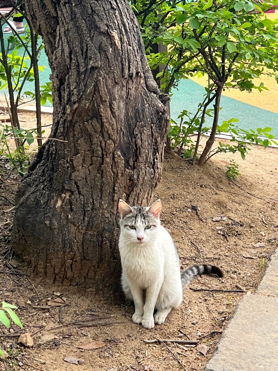 가을이