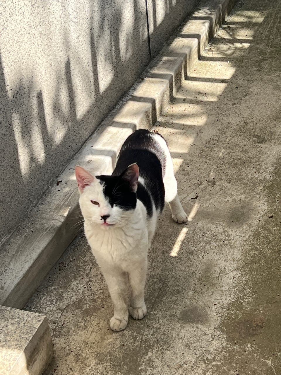 두리