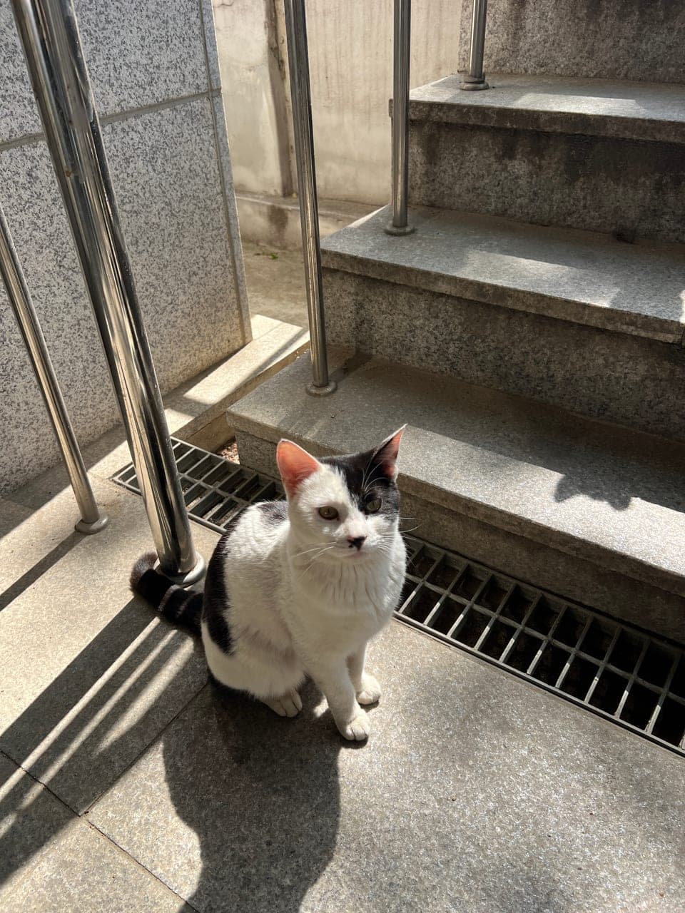 쿠로